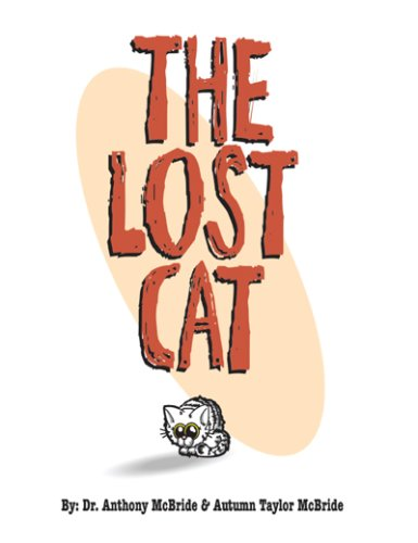 The lost cat